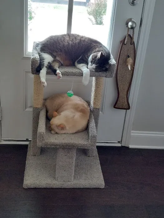 Mill Creek Animal Hospital 12