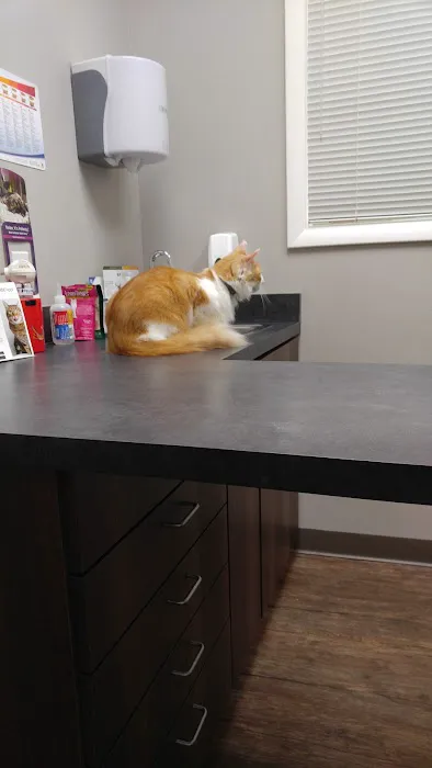 Mill Creek Animal Hospital 12