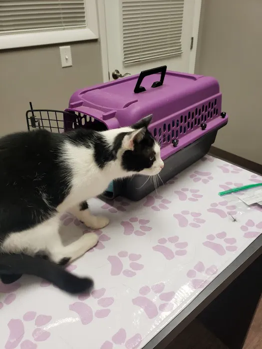 Mill Creek Animal Hospital 12