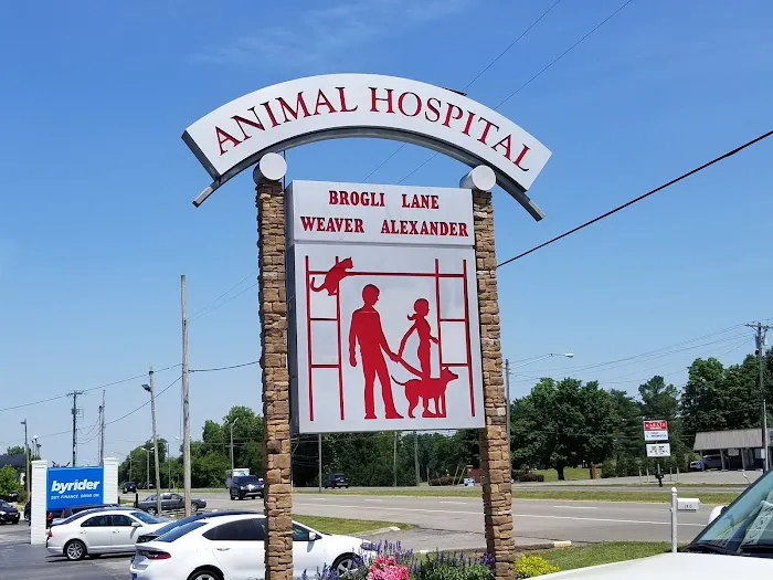 Brogli Lane Weaver & Alexander Animal Hospital 12
