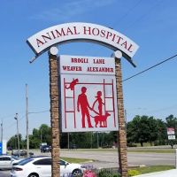 Brogli Lane Weaver & Alexander Animal Hospital ico