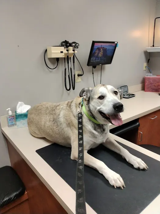 Brogli Lane Weaver & Alexander Animal Hospital 12