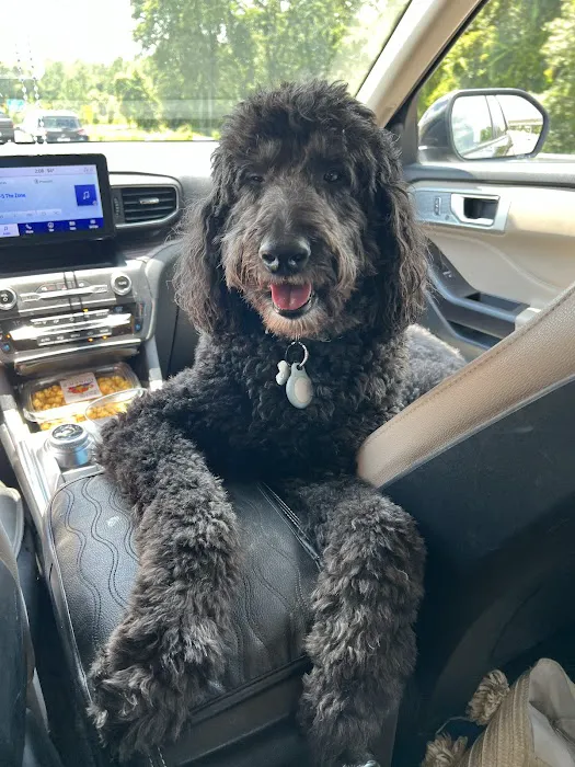 Nolensville Veterinary Hospital 12