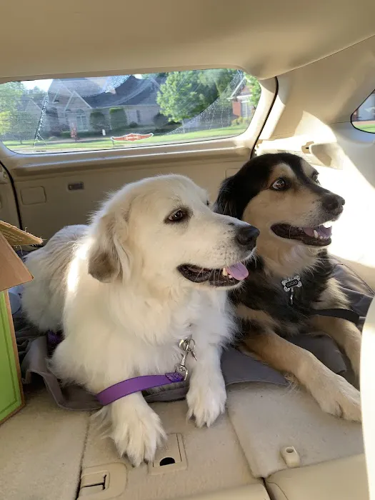 Nolensville Veterinary Hospital 12