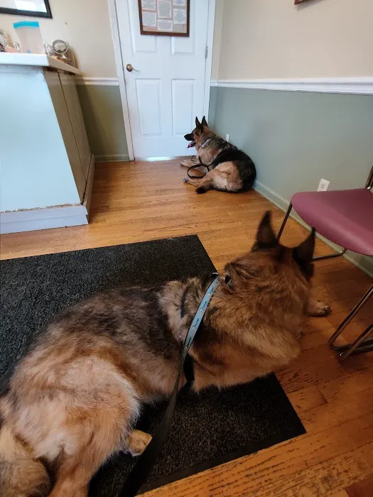 McPherson Veterinary Services 12