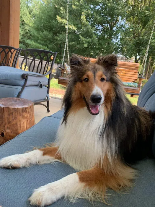 Aberlea Veterinary Life Planning, LLC 12