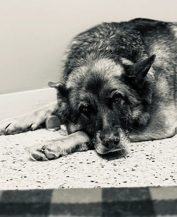 Aberlea Veterinary Life Planning, LLC 12