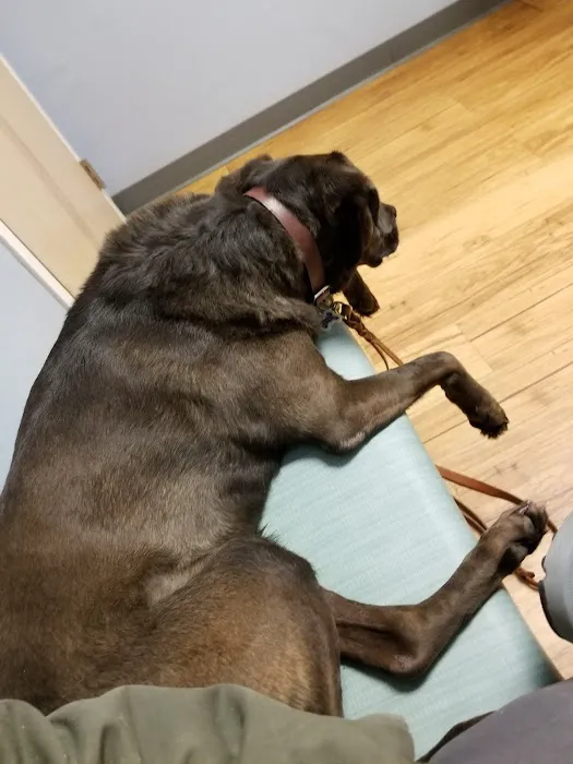 VCA Creekside Animal Hospital 12