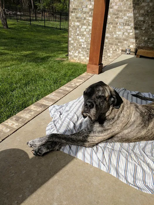 VCA Creekside Animal Hospital 12