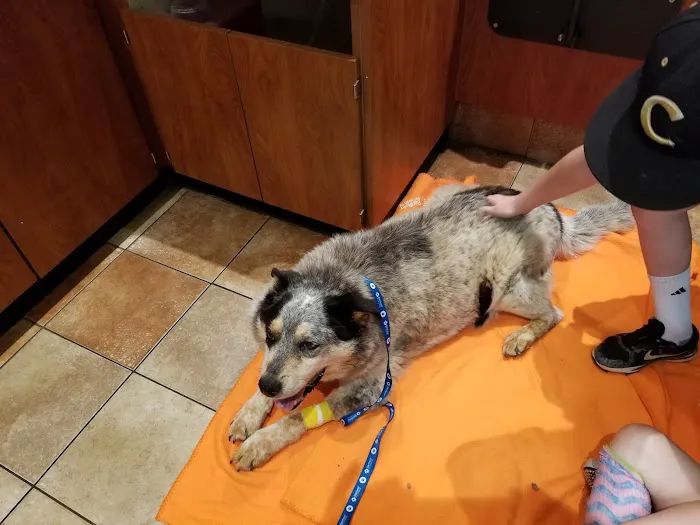 Banfield Pet Hospital 12