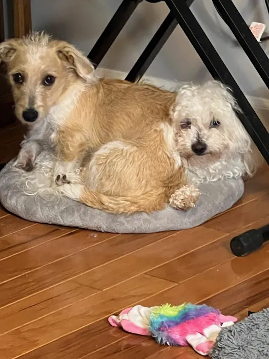 Banfield Pet Hospital 12