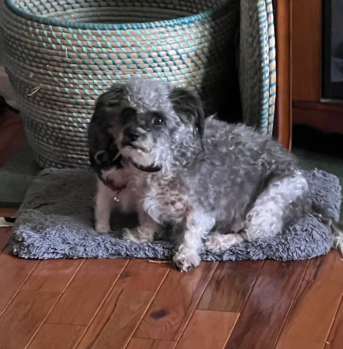 Banfield Pet Hospital 12