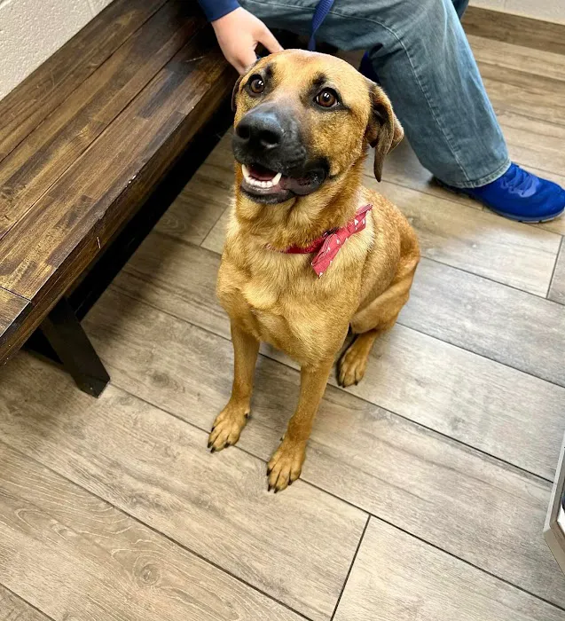 CreekWood Veterinary Hospital 12