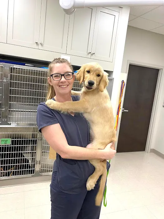 CreekWood Veterinary Hospital 12