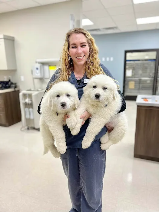 CreekWood Veterinary Hospital 12