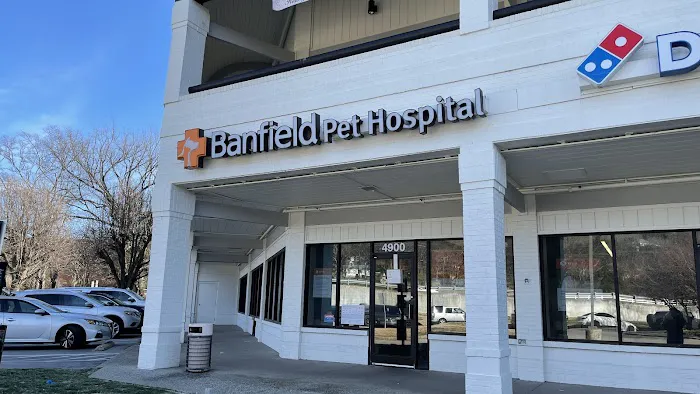 Banfield Pet Hospital 12