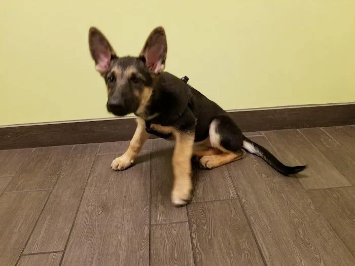Banfield Pet Hospital 12