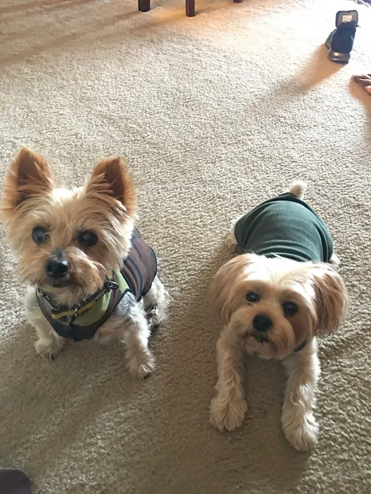 Banfield Pet Hospital 12