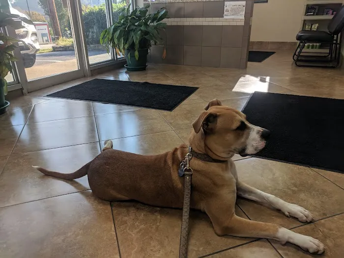 Brentwood Veterinary Clinic 12