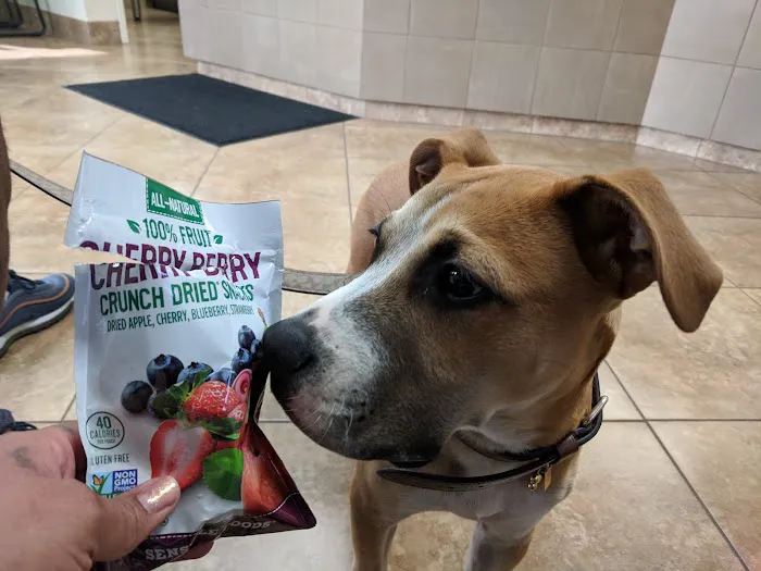 Brentwood Veterinary Clinic 12