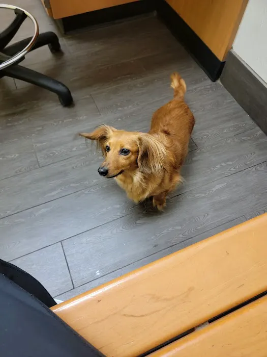 Banfield Pet Hospital 12
