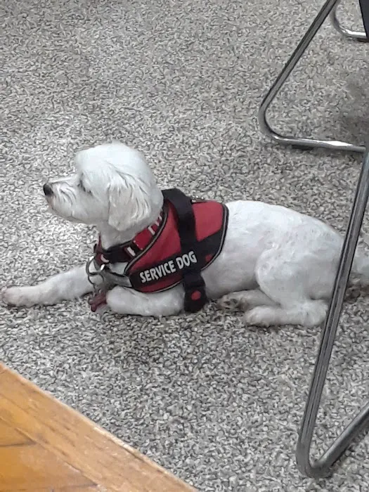 Banfield Pet Hospital 12
