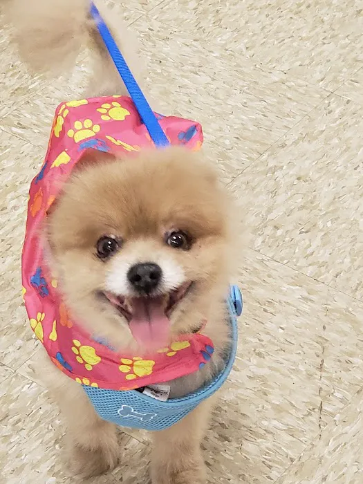 Banfield Pet Hospital 12