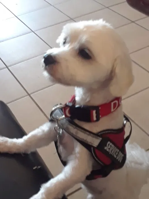 Banfield Pet Hospital 12