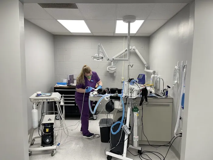 Harding Animal Hospital 12
