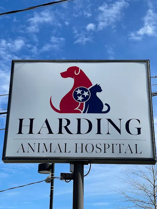 Harding Animal Hospital 12