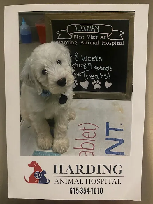 Harding Animal Hospital 12