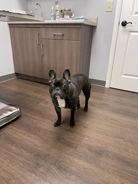 Harding Animal Hospital 12