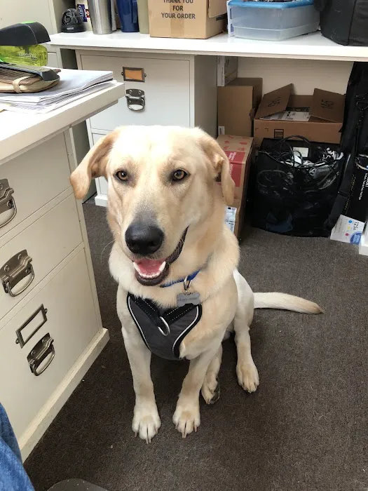 West Meade Veterinary Clinic 12