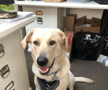 West Meade Veterinary Clinic