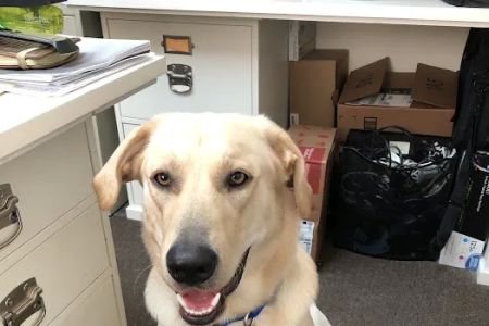 West Meade Veterinary Clinic