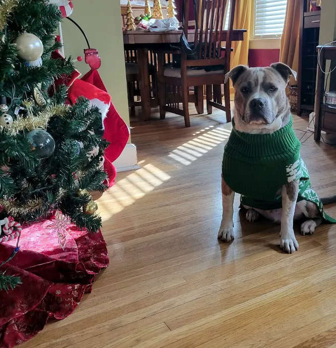 Belle Meade Animal Hospital 12
