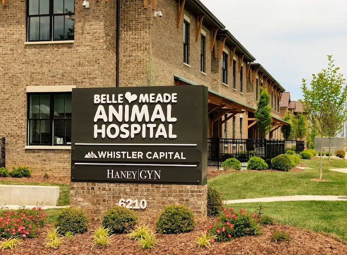 Belle Meade Animal Hospital 12