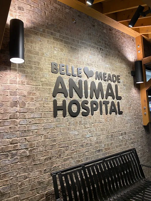 Belle Meade Animal Hospital 12