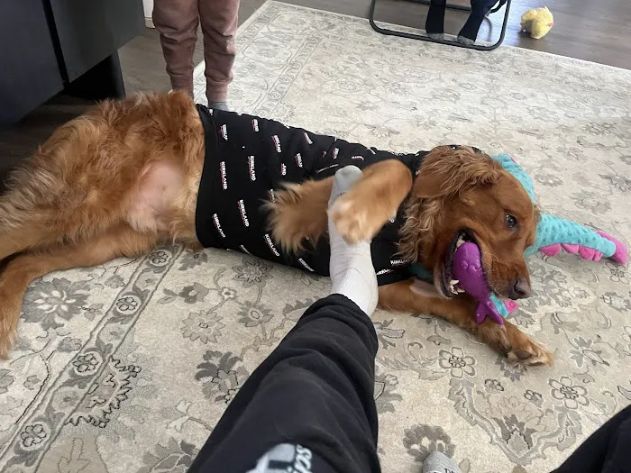 Belle Meade Animal Hospital 12