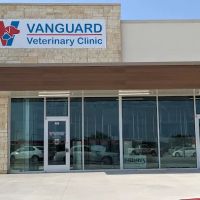 VANGUARD Veterinary Clinic ico
