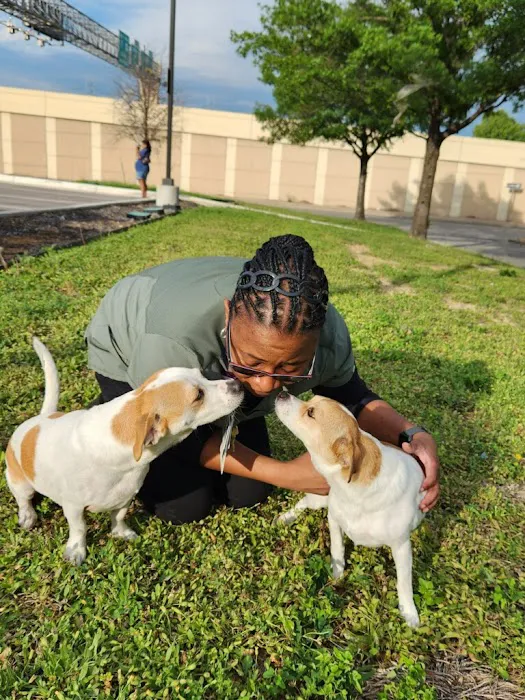 VANGUARD Veterinary Clinic 12