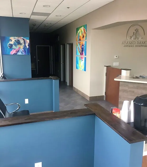 Alamo Ranch Animal Hospital 12