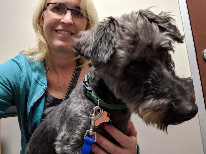 Alamo Ranch Animal Hospital 12