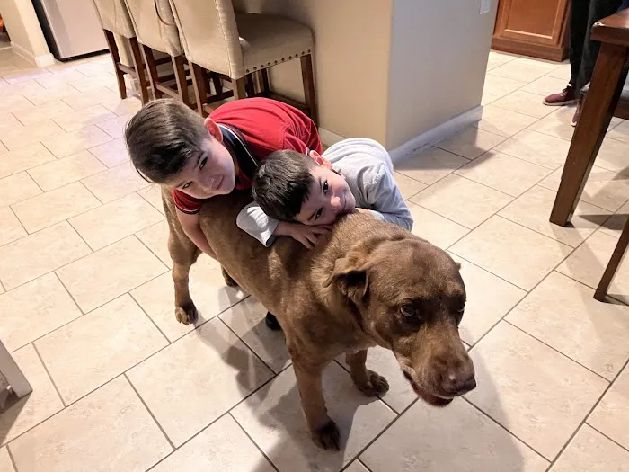 Alamo Ranch Animal Hospital 12