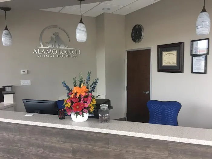 Alamo Ranch Animal Hospital 12