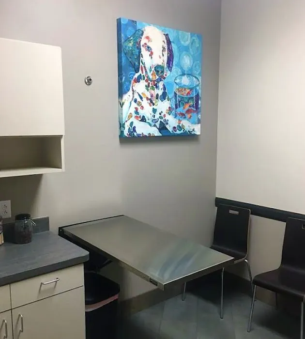 Alamo Ranch Animal Hospital 12