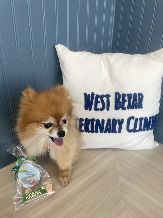 West Bexar Veterinary Clinic 12