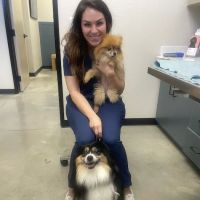 West Bexar Veterinary Clinic ico