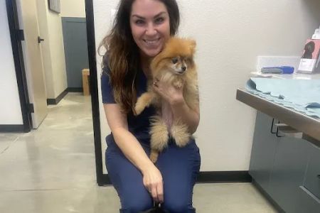 West Bexar Veterinary Clinic