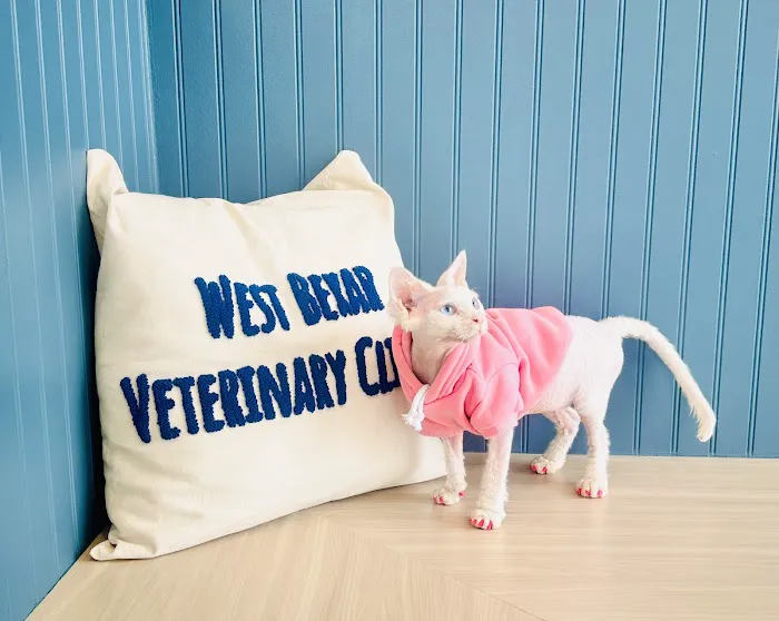 West Bexar Veterinary Clinic 12